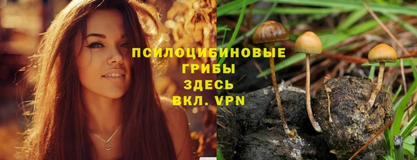 альфа пвп Красноперекопск