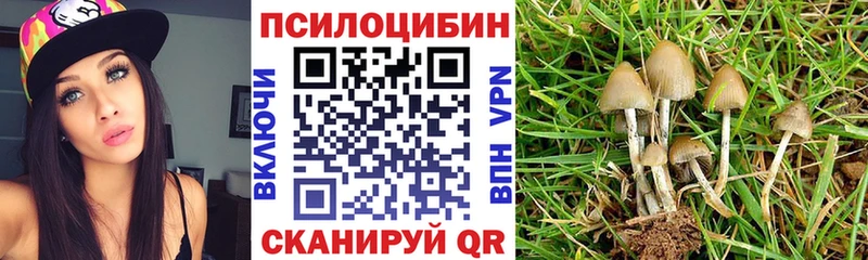 гидра зеркало  Краснослободск  Галлюциногенные грибы GOLDEN TEACHER 